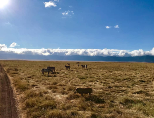 The Seven Wonders of Tanzania